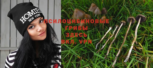 дурь Алзамай