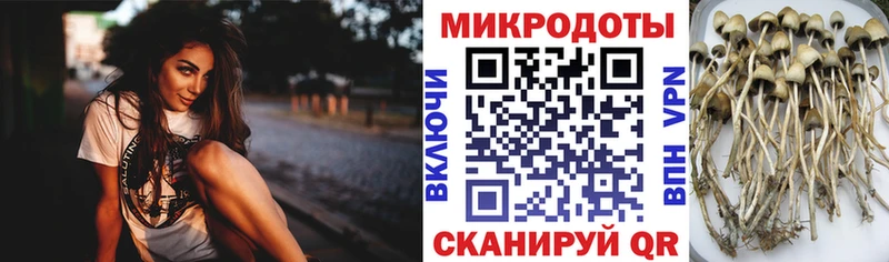 Галлюциногенные грибы GOLDEN TEACHER  Похвистнево 