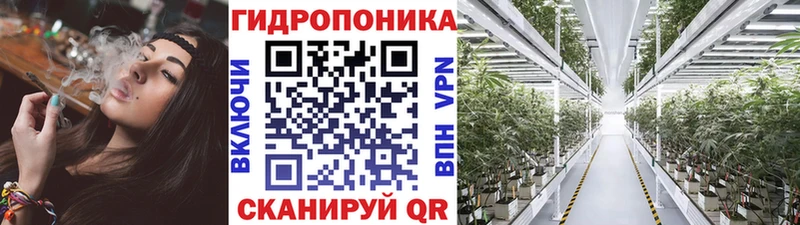 дарк нет официальный сайт  Похвистнево  Конопля Bruce Banner 